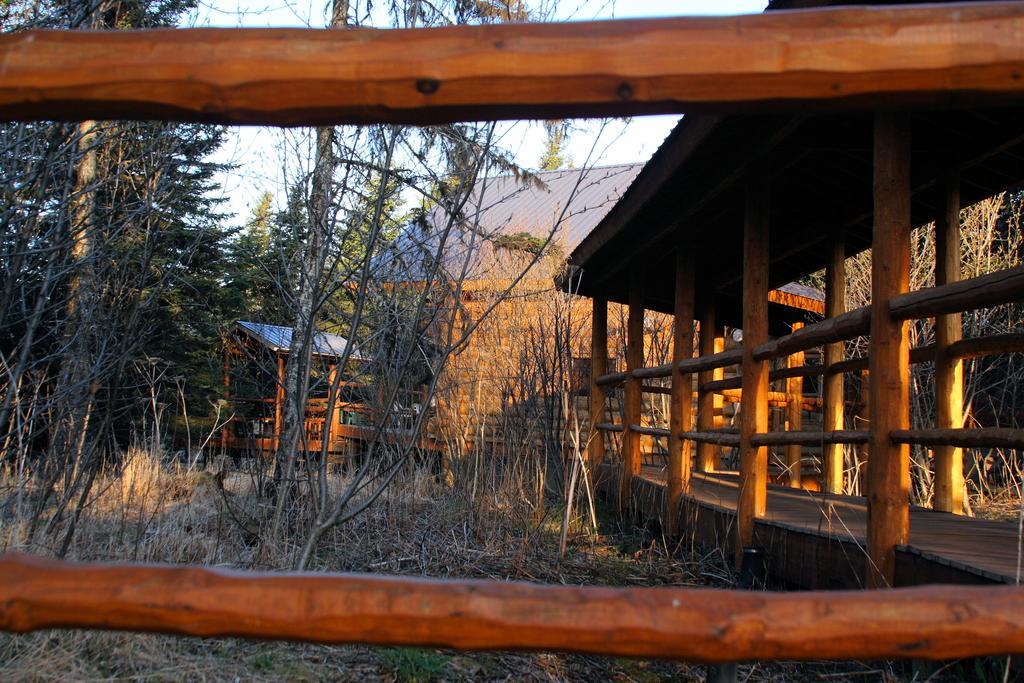 聪明的老猎人山林小屋 Anchor Point 外观 照片